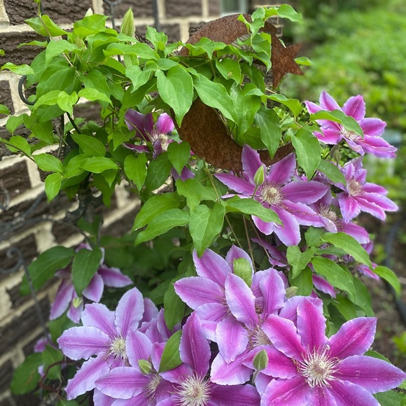 ANY REASONABLE OFFER ENTERTAINED🌺🌿🌺 - Picture 15 of 15